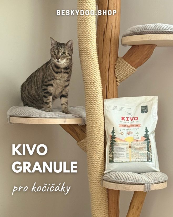 Psst… kočičáci si stěžovali, že mají málo prostoru. Tak jsme jim přidali místo u misky 😼🍖 Kivo granule pro kočky — protože...