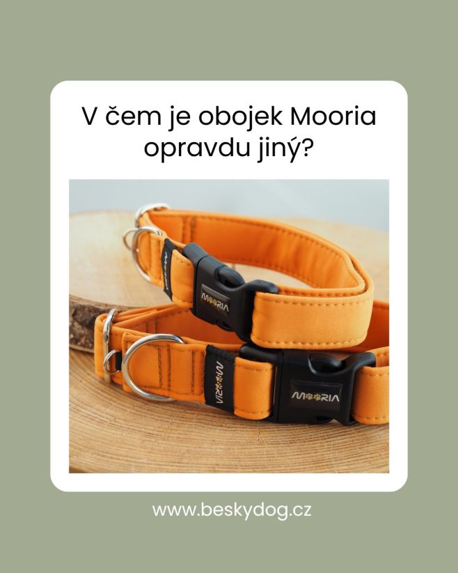 Obojek, který rozumí potřebám pejsků i páníčků 🐾🐶 Vyroben ze skvělého a snadno vyčistitelného materiálu. Pevná spona,...