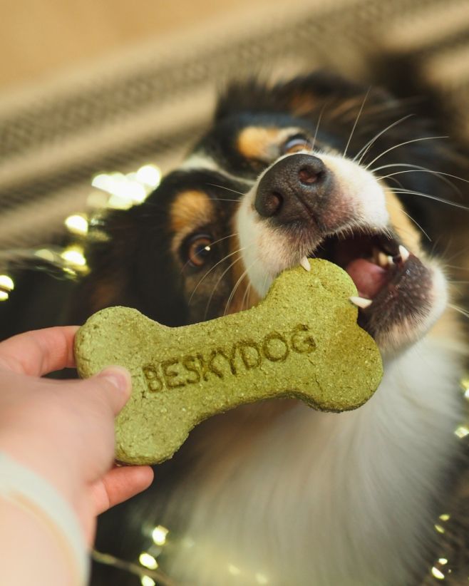 ŇUF ŇUF čucháte tu dobrotu! Křupavé, neodolatelné a skvělé jako dáreček (nebo cukroví na mlsání)🎁 Beskydog kosti z psí...