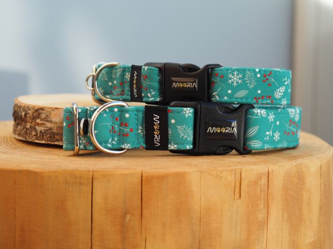 🎄🐶 Vánoční styl musí ladit i na procházkách Protože Vánoce nejsou jen o dárcích, ale i o detailech ✨ Tenhle vánoční obojek...