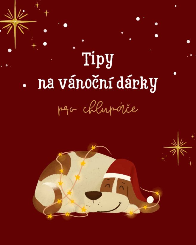 TIPY na vánoční dárky pro chlupáče! 🎁 Připravili jsme si pro vás pár opravdu vymazlených dárečků, které vašeho chlupáče...
